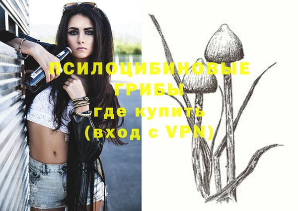 ALPHA PVP Белокуриха