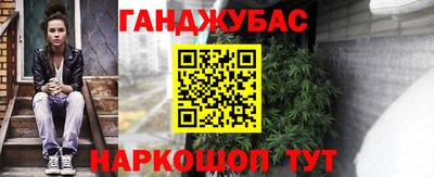 сатива Аргун