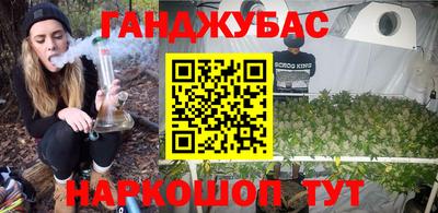 сатива Аргун