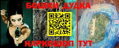 сатива Аргун