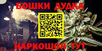 apvp Бийск