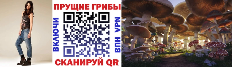 Галлюциногенные грибы прущие грибы  KRAKEN как войти  Дивногорск 