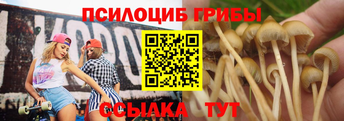 Галлюциногенные грибы мухоморы  как найти наркотики  Дивногорск 