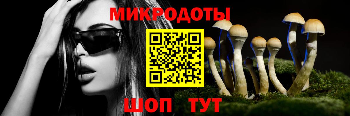 Галлюциногенные грибы Psilocybe  Вход с VPN  Псилоцибиновые грибы MAGIC MUSHROOMS  Дивногорск 